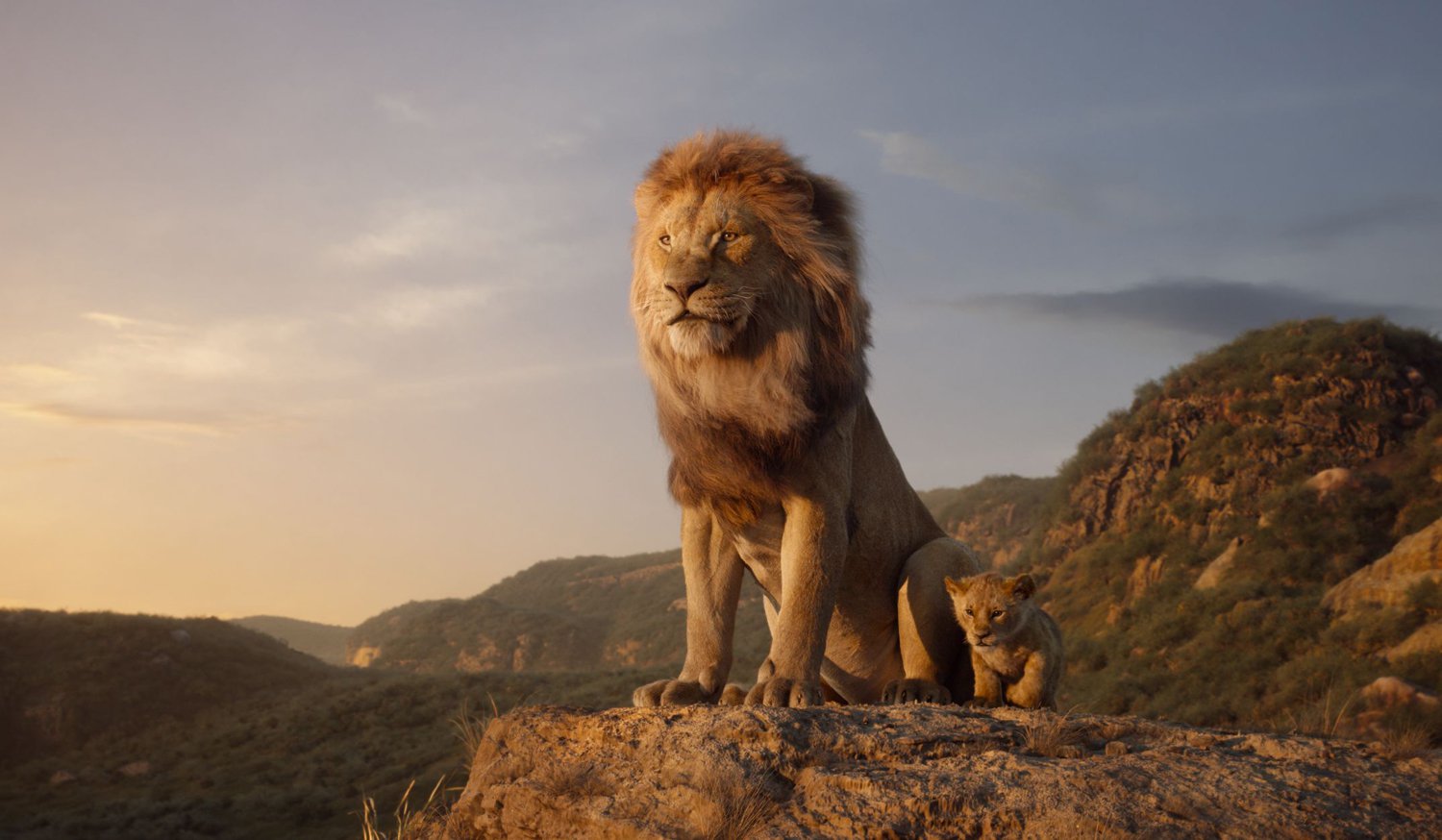 Why The Lion King 2019 Should Be Celebrated!