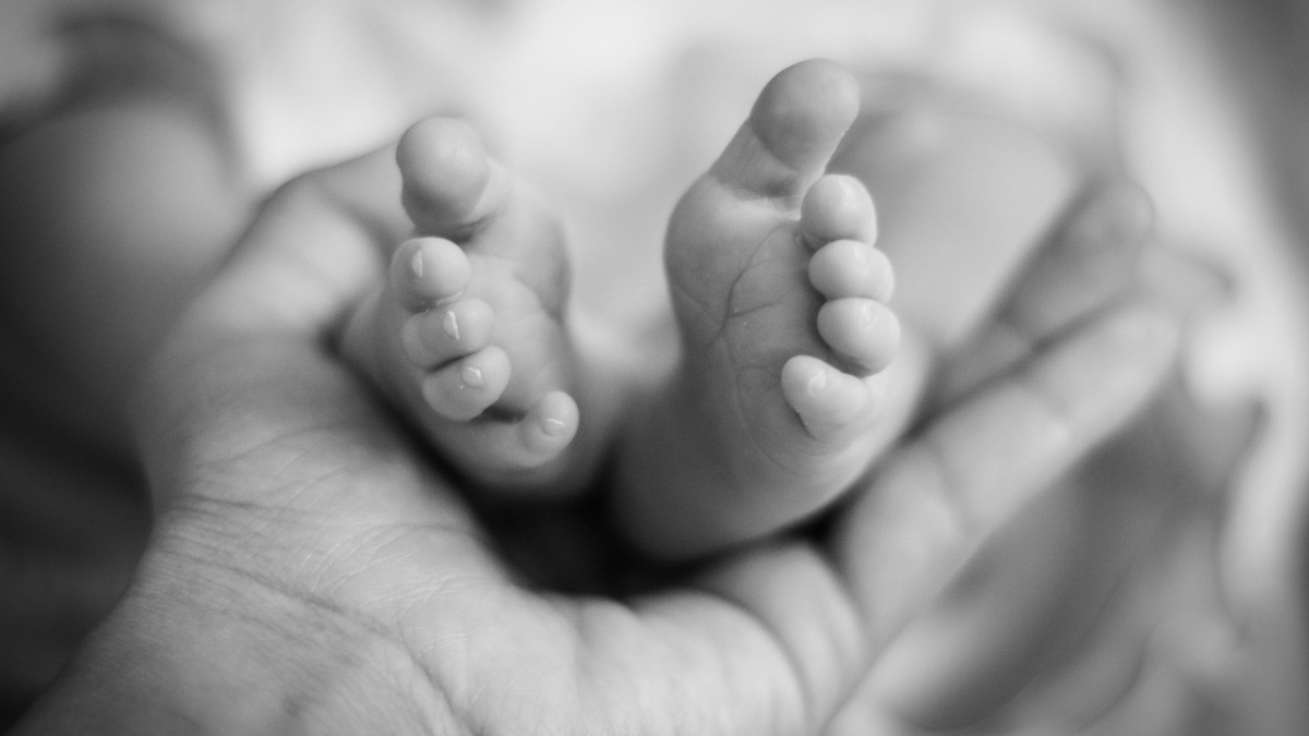 Newborn feet in hands