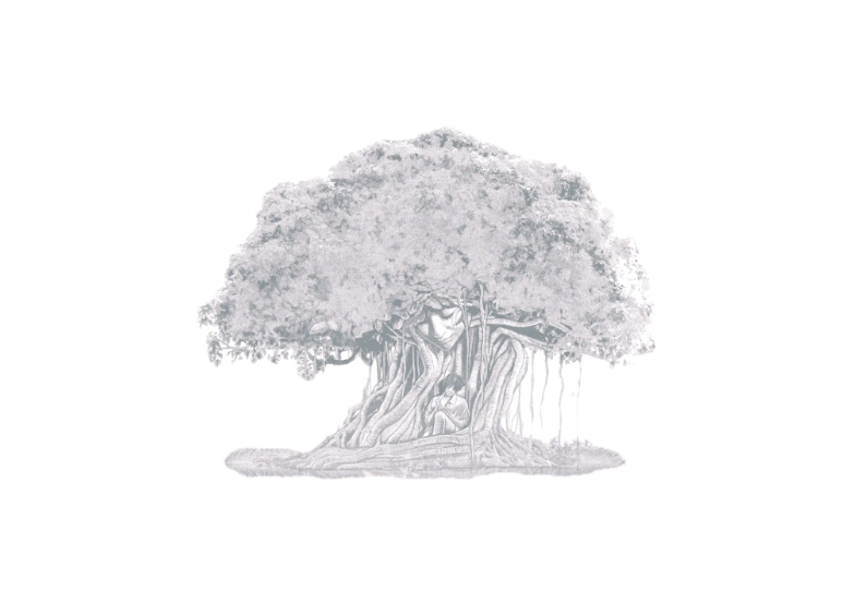 South Asian Indie Steps Into the Spotlight